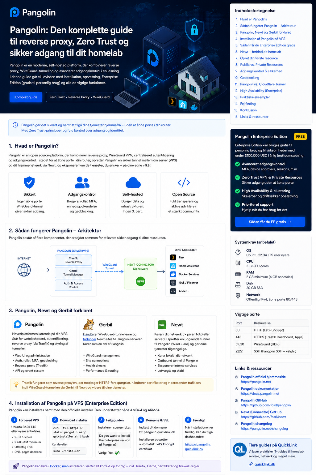 Pangolin arkitektur: VPS, Gerbil, Newt og homelab